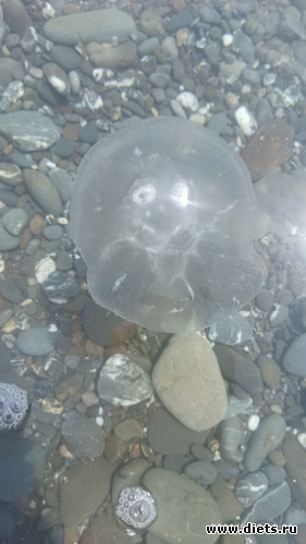 4 фото: Канака 28/05-06/06/2021