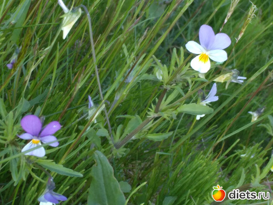 14 фото: Выходные конец мая2021