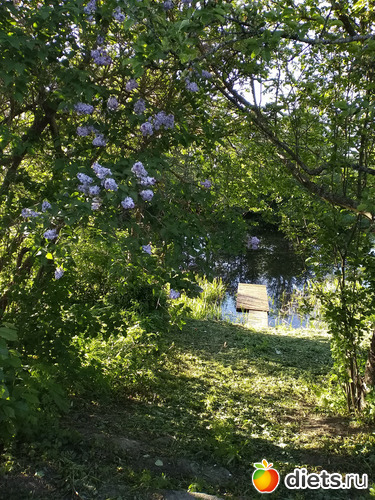 15 фото: Выходные конец мая2021