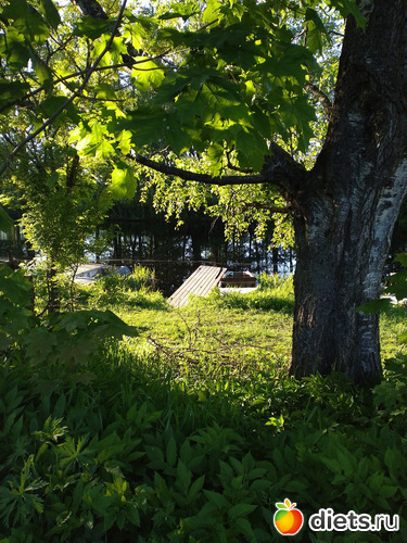 1 фото: Выходные конец мая2021