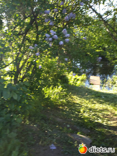 7 фото: Выходные конец мая2021