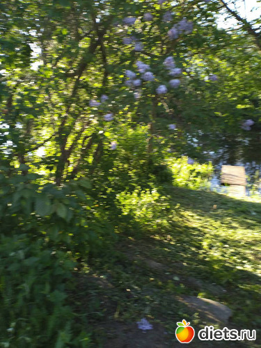 9 фото: Выходные конец мая2021