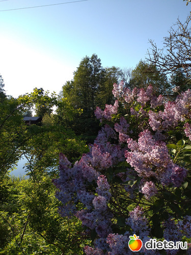 10 фото: Выходные конец мая2021