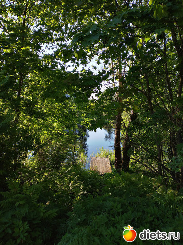 11 фото: Выходные конец мая2021