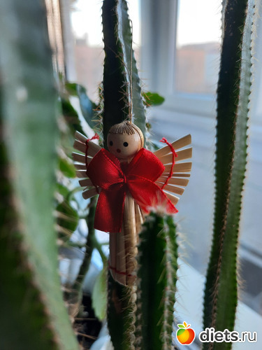 это тоже с работы на память, пусть хранит), альбом: Моя оранжерея 2021