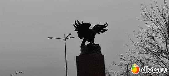 гордая птица, альбом: Нур-Султан 2021-2022. Пожарка.99