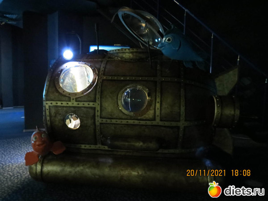 морское такси), альбом: в мире животных 2023