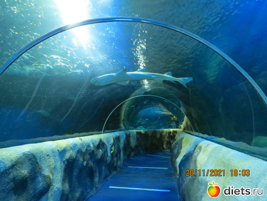 9 фото: в мире животных 2023