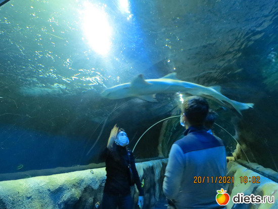 11 фото: в мире животных 2023