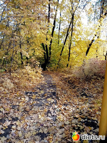 Дорожка в осень, альбом: Осень 2021