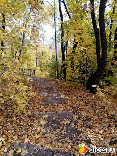 Дорожка в осень, альбом: Осень 2021