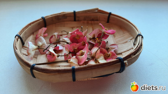 вот такая экибана))), альбом: Моя оранжерея 2021