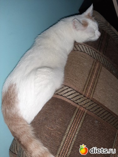 14 фото: 28072021