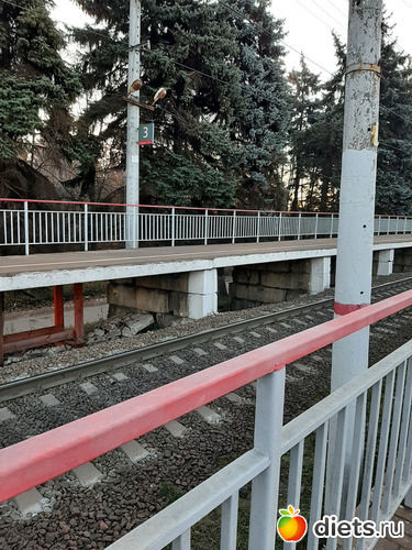 15 фото: 28072021