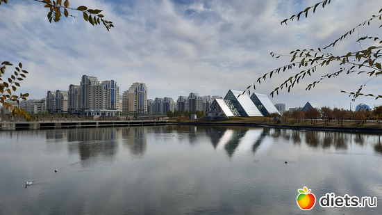 союз неба и воды, альбом: Ботанический сад