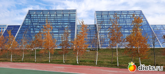 45 фото: Ботанический сад