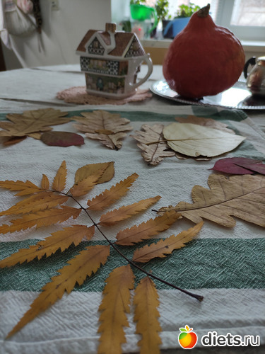 10 фото: 31.10.21