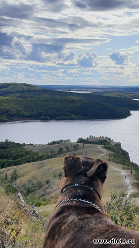 3 фото: Молодецкий курган