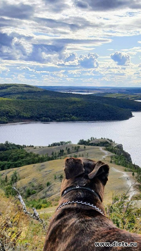 6 фото: Молодецкий курган