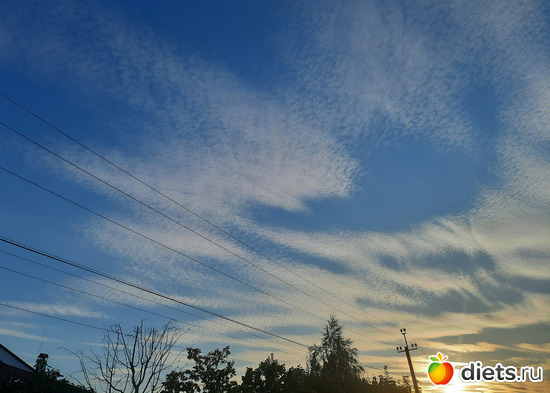 13 ����: ������