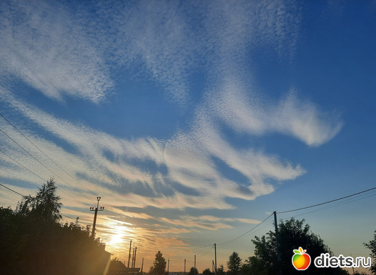 14 ����: ������