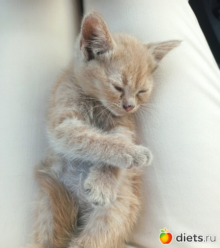 2 фото: Мелочи жизни