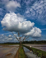 ��� ����� �� ����� � �������...