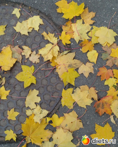 15 фото: Осень21