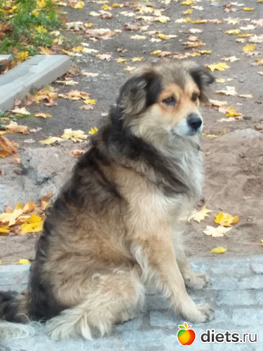 16 фото: Осень21