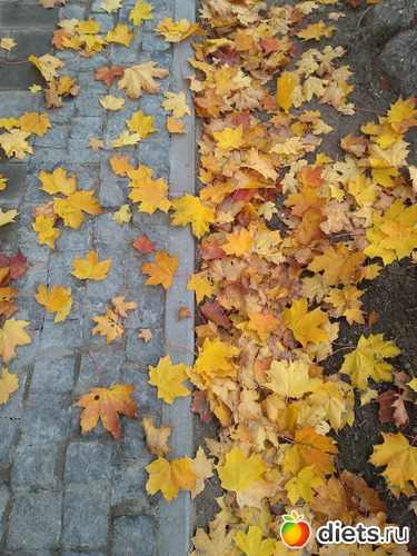 7 фото: Осень21