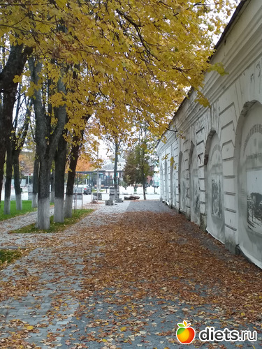 9 фото: Осень21