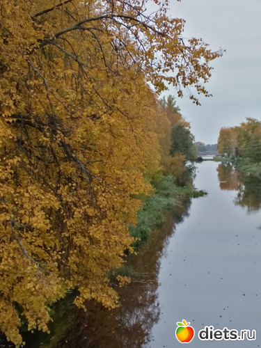 11 фото: Осень21