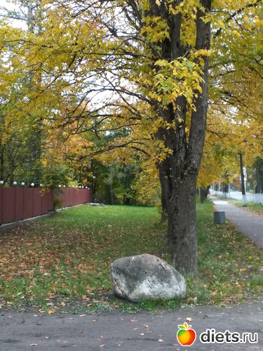 12 фото: Осень21