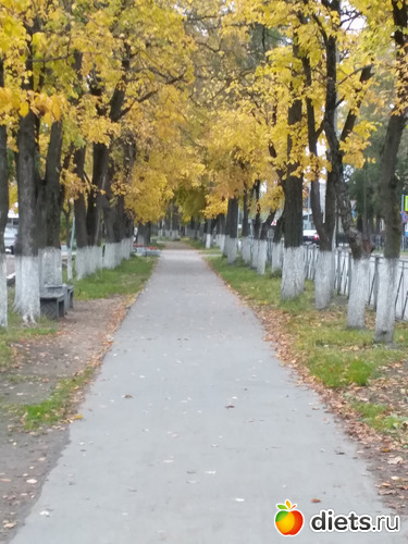 13 фото: Осень21