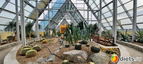 Алиса попала в страну чудес, альбом: Ботанический сад