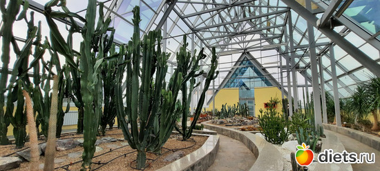 райские кущи, альбом: Ботанический сад