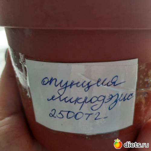 15 фото: Оранжерея-2022/2023