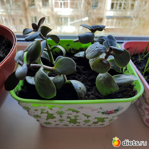 ,  ?     , , : -2022/2023