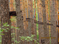 мы не пошли туда, это для взрослых