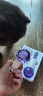 Возможен срыв