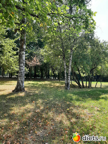 23 фото: Январь 2022