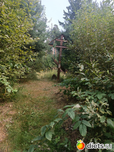 А если заглянуть в кусты, иногда..., альбом: Путь в Лавру. Дни 5-6.