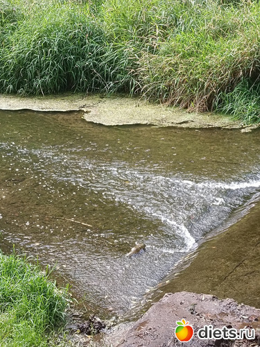 Запруда, альбом: Путь в Лавру. Дни 5-6.