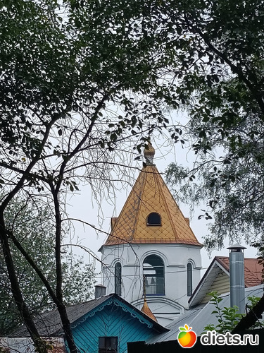 Церковь "в сердечке" ветвей, альбом: Путь в Лавру. Дни 5-6.