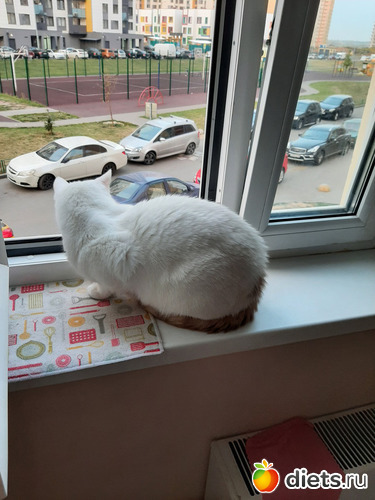 44 фото: Январь 2022