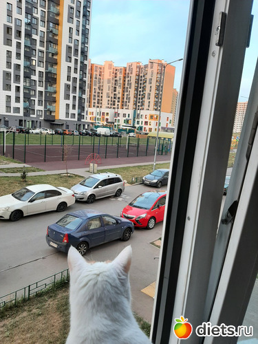 46 фото: Январь 2022