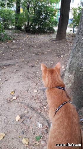 68 фото: Январь 2022