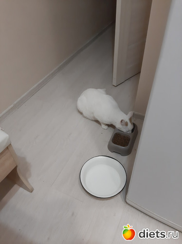 3 фото: Зима 2022 - 2023