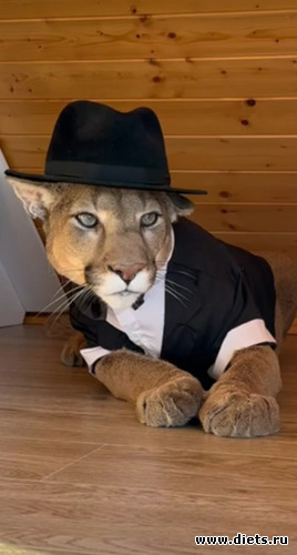 71 фото: 100 дней счастья