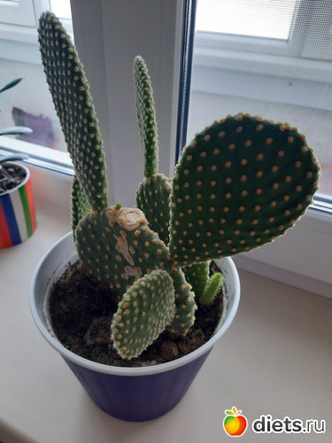     -.   ., : -2022/2023